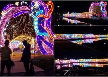 影音∕2024七夕情人節　邀您情定童玩節園區　8/9-11下午6時免費入園