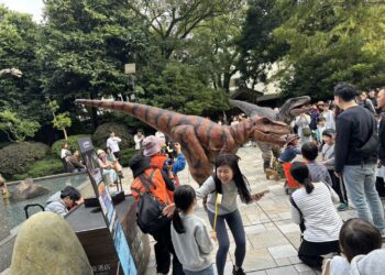 2024年度壓軸企劃 恐龍世界嘉年華「看見恐龍！叢林快閃見面會」