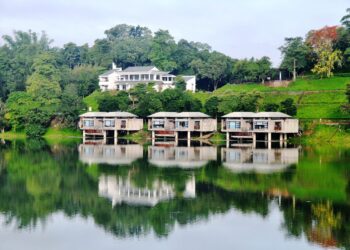 尖山埤春節推「泡泡猩球嘉年華」　寒假起好康不斷、屬「蛇」本人免門票