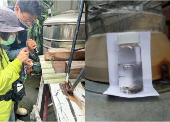 高雄鳳山爆登革熱群聚疫情　病毒定序與去年不同