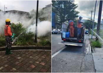 宜縣再添1本土登革熱個案　有外地旅遊史
