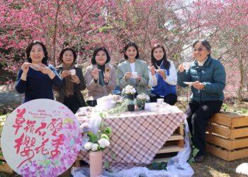 2026草嶺石壁櫻花季2/17-3/1浪漫登場　漫遊繽紛山城