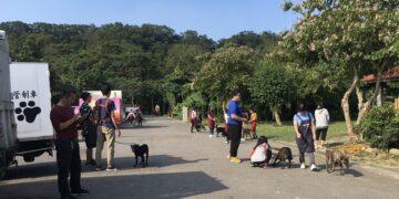 愛心不打烊！新北 8 處動物之家青年志工出擊 3/28 實踐生命教育與社會責任