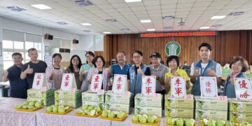115年度彰化縣優質番石榴評鑑競賽 農友齊聚溪州爭奪優質番石榴桂冠