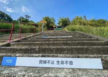 樂享湖光山色 最酷老鷹秀 !走38階就能玩全台最大曾文水庫