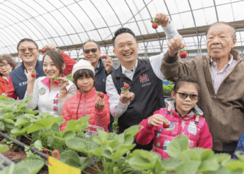 桃園副市長蘇俊賓挺草莓產業 高價值打造特色