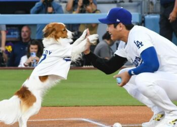 影/大谷炸裂第46番追平個人生涯全壘打數 46轟46盜持續朝空前紀錄邁進