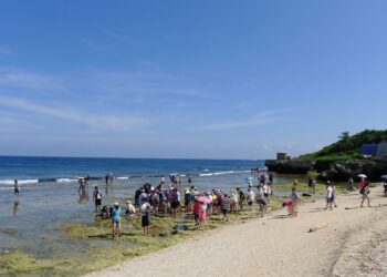 保育生態　小琉球「3潮間帶」7月起收60元海洋保育費