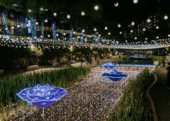 雙金榮耀 中港大排光雕展、壽德公園攜手奪國際設計大獎