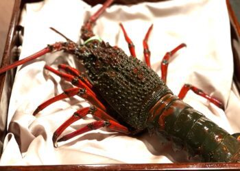 觀天下鐵板燒  12/1因應物價調漲每人六千元起