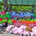 影音/青年愛鄉土朋友來響應 創團護宜蘭