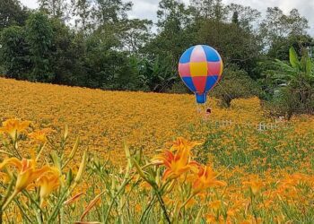 後山小調∕旅宿業經營的困境