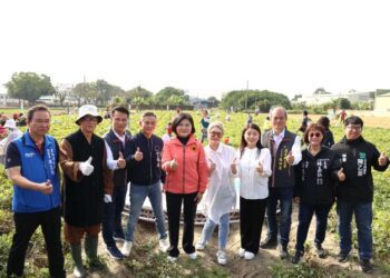 雲林縣千人拔花生迷宮探險　響應食農教育