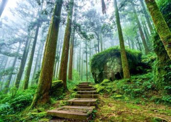 嘉義縣邀遊客登步道看美景　12條經典步道等你來挑戰