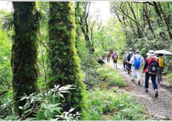 徐美賢老師帶您走讀浸水營古道 探索排灣族勇士故事