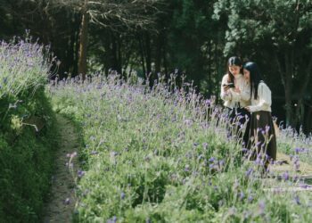 永續森林20年 號召全台新能源車主 開箱永續森林新體驗