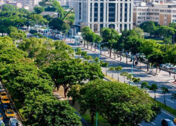 中正區單坪破180萬！官邸旁豪宅引國際人士入手爭藏