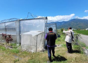 凱米颱風來勢洶洶 花蓮縣政府籲請農友加強防颱措施