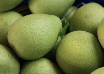 花蓮柚來了展售活動