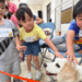新北早療社區資源中心親子活動 Q萌治療犬陪早療幼兒一起學習