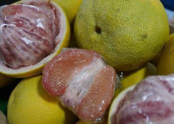 宜蘭縣紅文旦、嚴選米暨農特產品展售活動