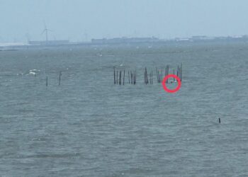 蚵農受困蚵田孤立無援 　海巡乘風破浪前往救回