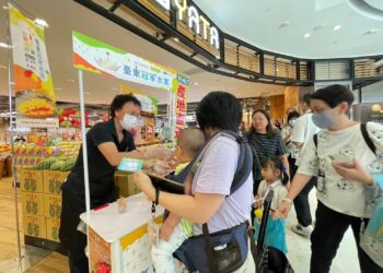 臺東冠軍水果夏雪芒果前進香港 獨賣會26日開跑
