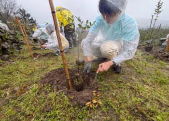 響應環境永續倡議 玉山金控連續七年捐款協助森林復育
