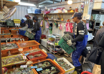 冬至好康！龜吼漁夫市集免費送湯圓甜湯+百元抵用券100份