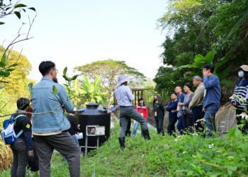 永福社區綠能抽水系統 太陽光電守護石虎棲地 生態與再生能源共融