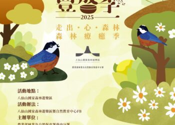 秋季最浪漫的慢活時光！八仙山「森林豐盛季」給你五週不重複的療癒體驗