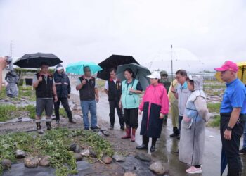 凱米颱風造成花蓮多處災損 徐榛蔚關心協助受災戶度過難關