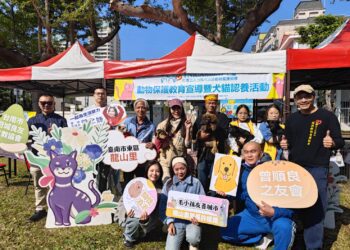 「浪」愛延續二手市集 動保環保「蛇」麼都有