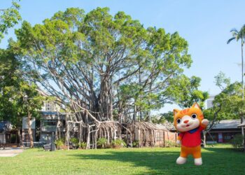 新年大小朋友「龍」來國漫館　遇見野生小貓巴克里