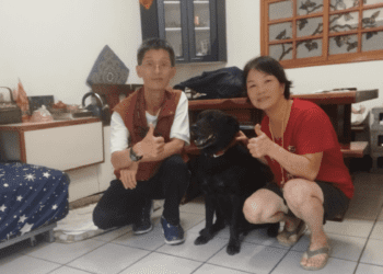 偏鄉寵物疫苗不再難 新北動保處巡迴服務到府施打狂犬病疫苗