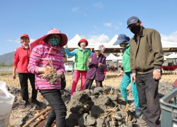 體驗農村控窯樂趣 「臺東農村FUN PARTY」鹿野登場