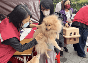 手作、音樂、認養三合一 新北寵物音樂會即將熱鬧登場