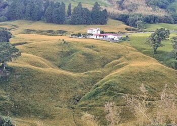 後山小調∕金針花海環繞的鄉村農舍