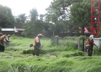 台南地檢署運用社會勞動人協助登革熱防治　社勞齊力忙除草