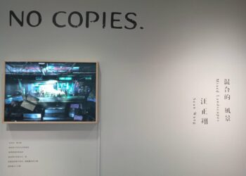 自由，是台灣最美的風景 汪正翔「混合的風景」攝影展