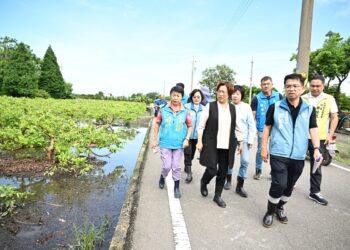 彰化連日豪雨重創農作 王惠美現勘溪州芭樂疾呼中央：納入天災現金救助