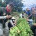 在都會區找回土地連結!新北原民局推野菜食農教育 打造頂級心靈環保大課堂