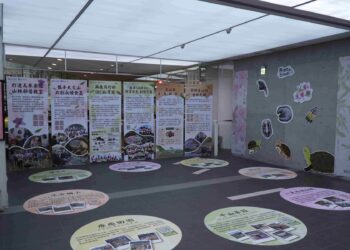 新北市農業局攜手政大舉辦特展 推廣石碇龜茶文化與食蛇龜保育理念