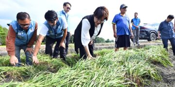 薔琵颱風重創農民心血 王惠美勘災:全力爭取全品項中央救助