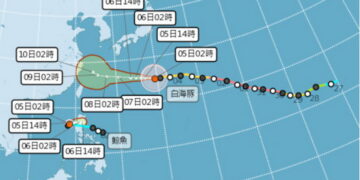 影音/20260805白海豚還在游 鯨魚又生成