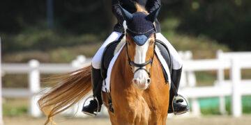 影音/馬術小將高襄喬克服萬難挑戰全中運 與馬共舞榮獲亞軍