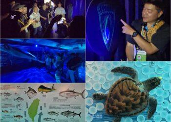 影音/從無光帶到透光帶 綠博海洋館引人探索海中世界的無奇不有