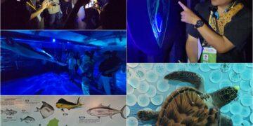 影音/從無光帶到透光帶 綠博海洋館引人探索海中世界的無奇不有