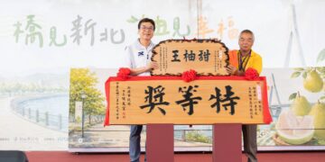 新北文旦柚展售會週末連兩日登場 淡水河畔柚香濃