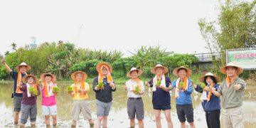 2026關渡平原彩繪稻田盛大揭幕!「策馬揚鞭」六色水稻交織春日最美地景